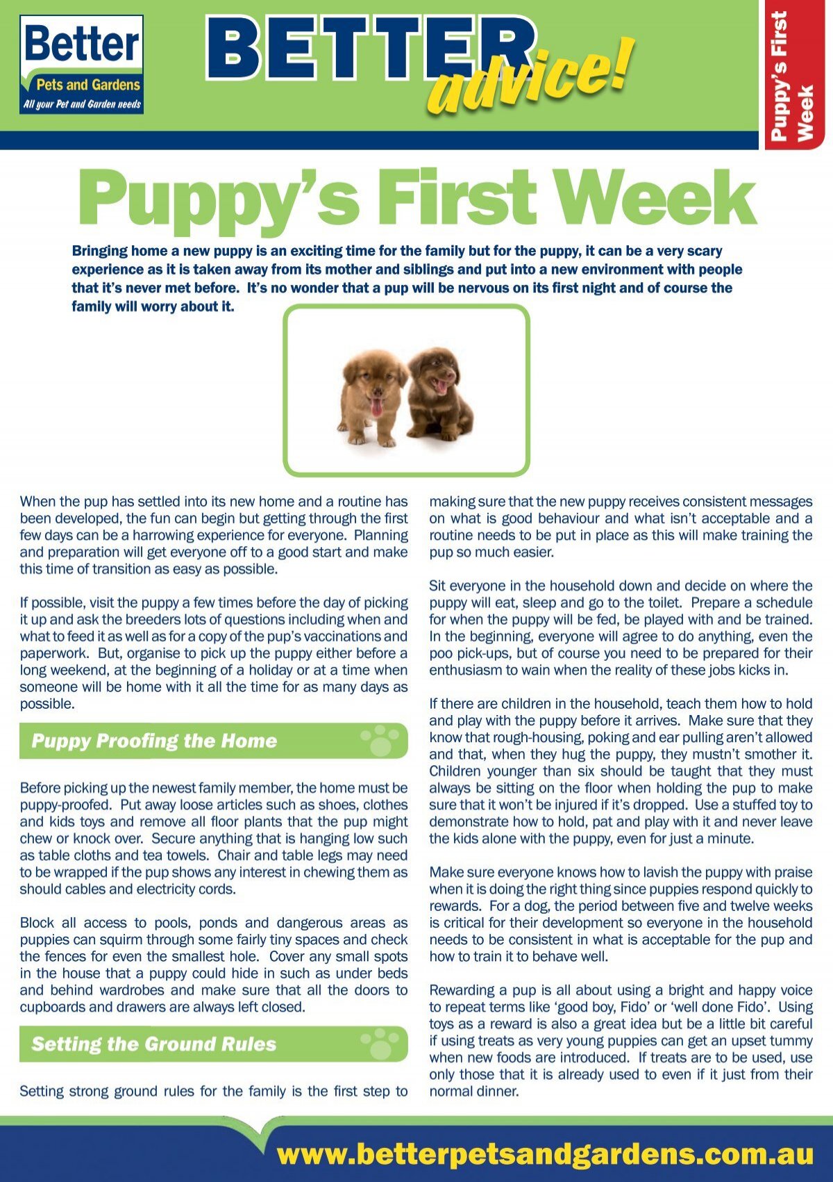 Puppy S First Hours At Home Better Pets And Gardens