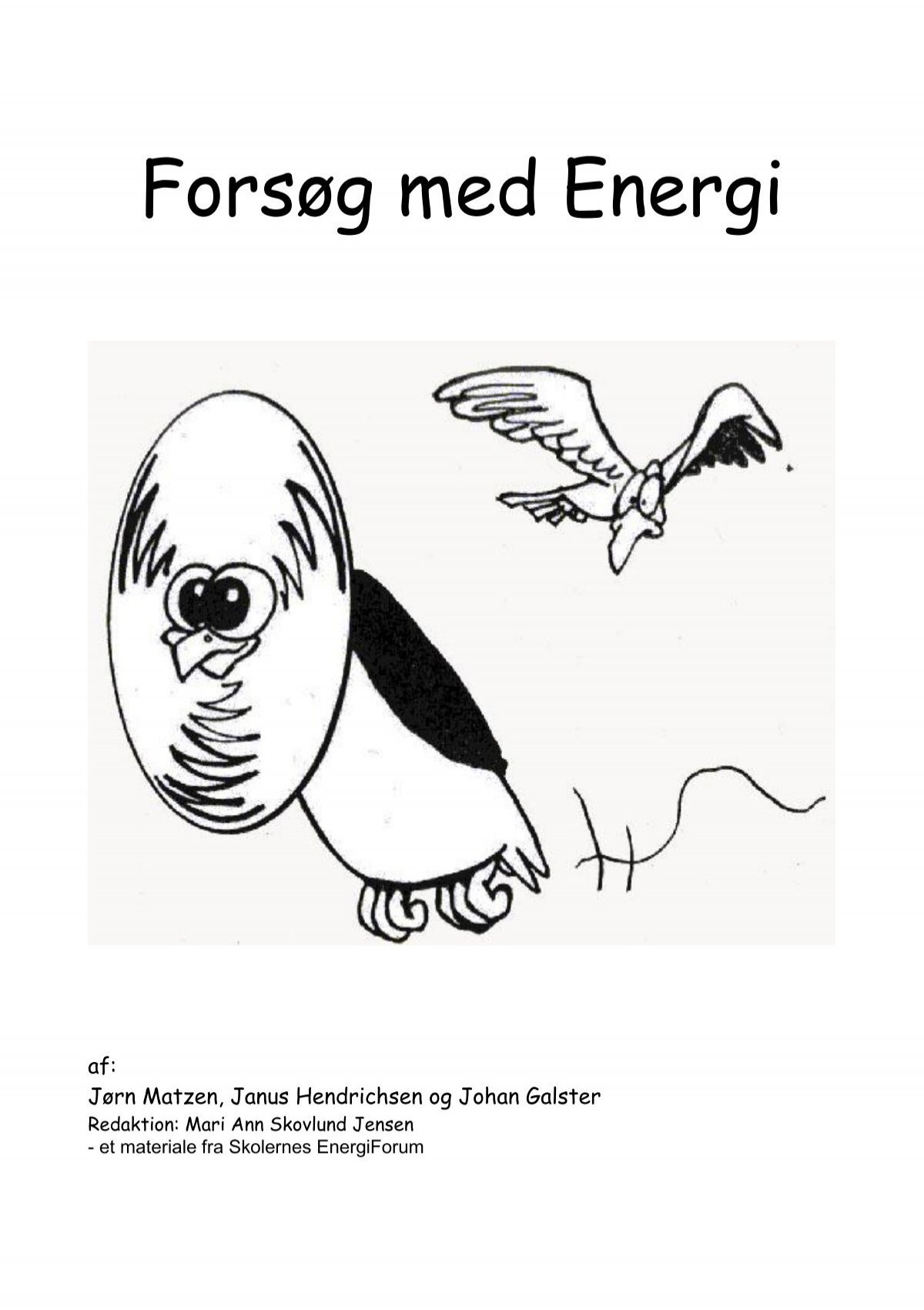 Forsøg Energi - Energitjenesten