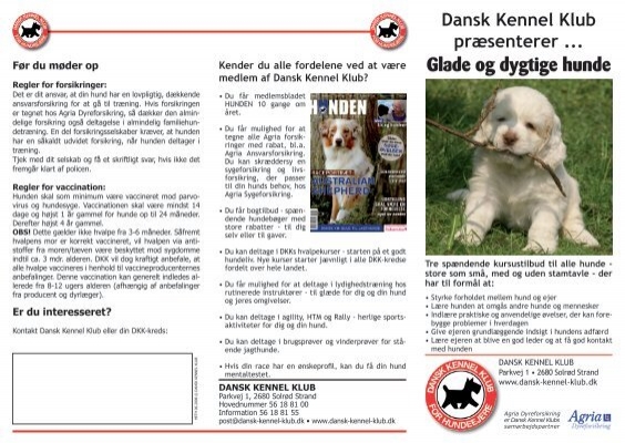 DKK præsenterer Glade og dygtige hunde - Kennel Klub