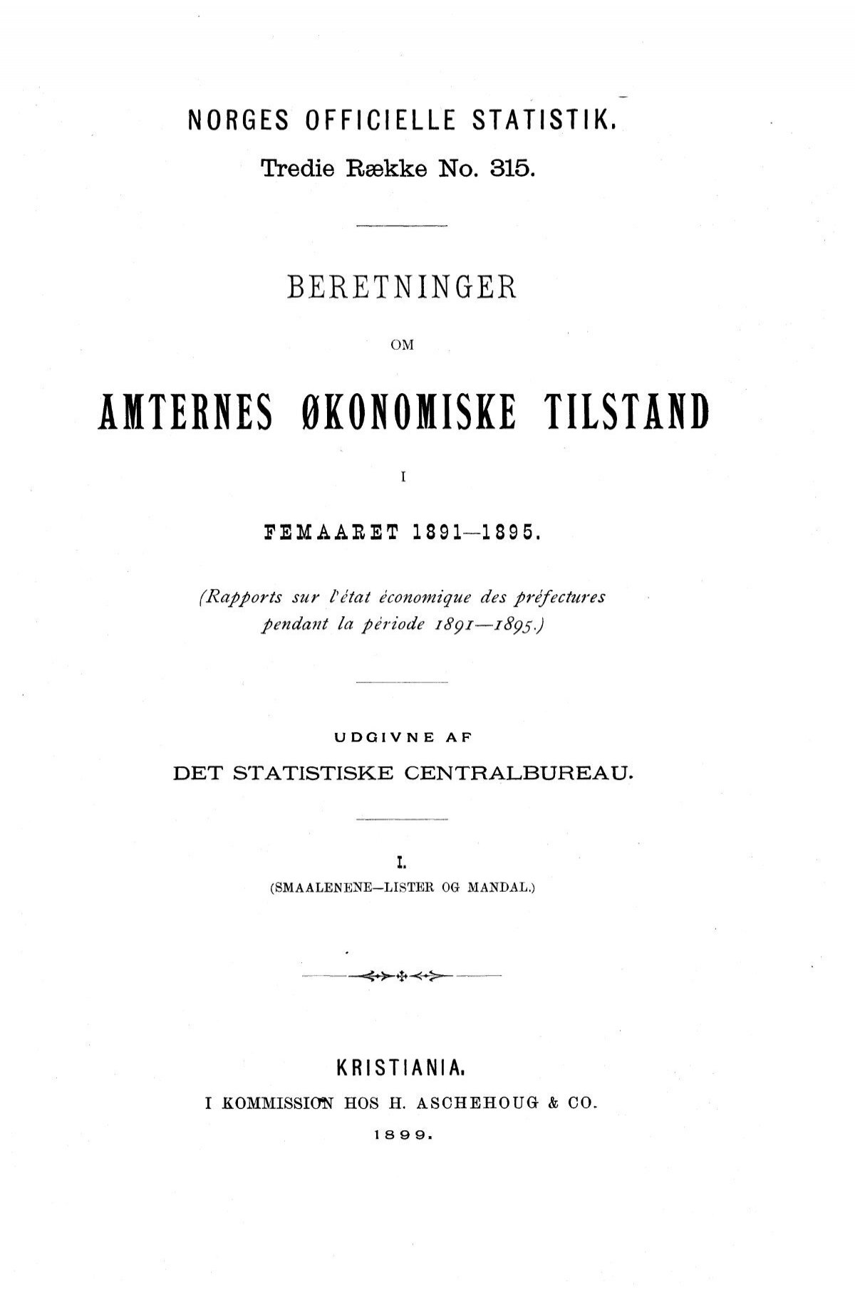 beretninger amternes økonomiske tilstand i femaaret 1891-1895