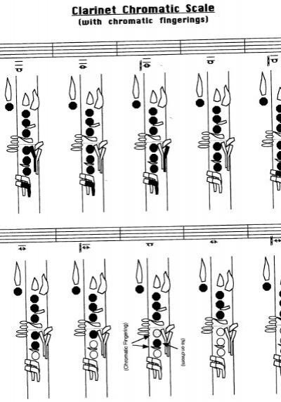 Clarinet Fingering Charts - Emily D. Sorensen.