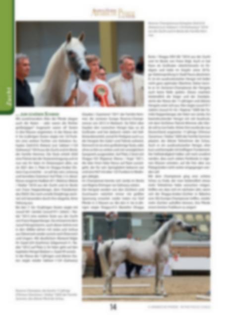 Arabische Pferde IN THE FOCUS 3/2022 (Vol. 31) - public