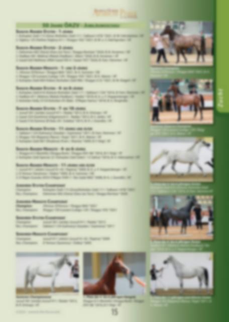 Arabische Pferde IN THE FOCUS 3/2022 (Vol. 31) - public