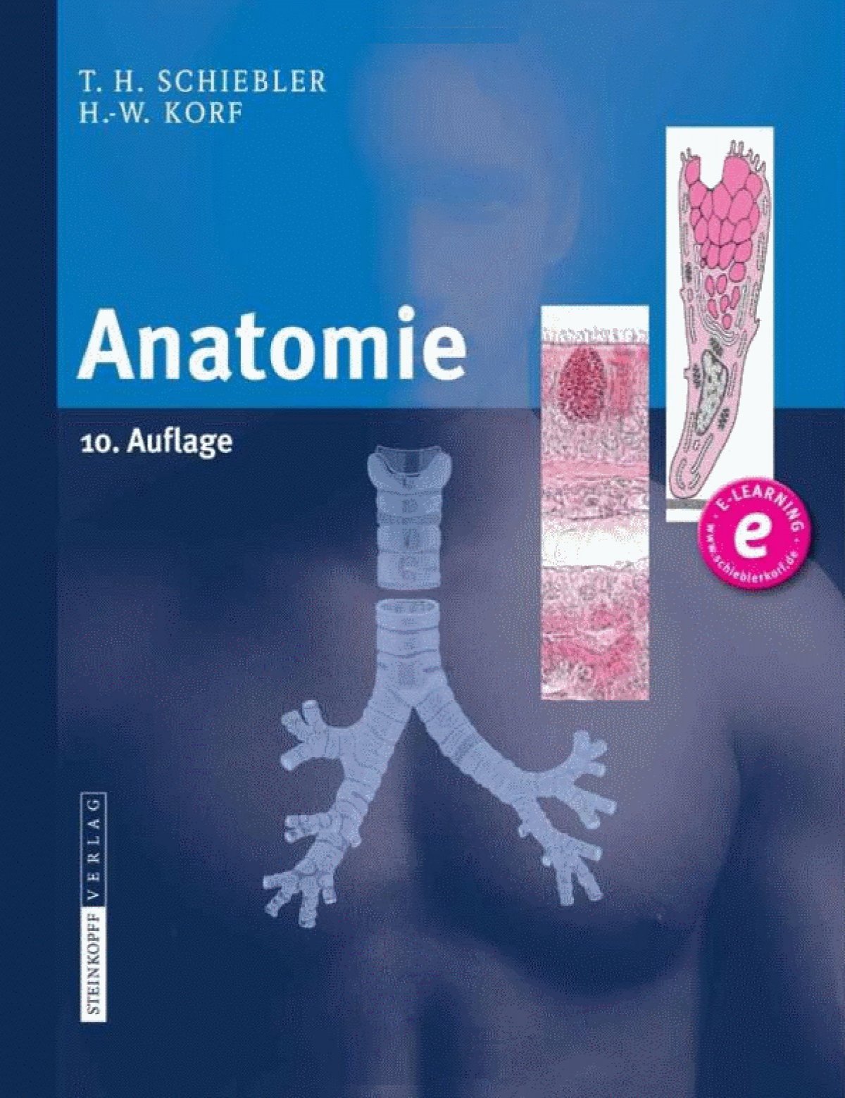 Schiebler & Korf - Anatomie 10th ed. 2008.pdf