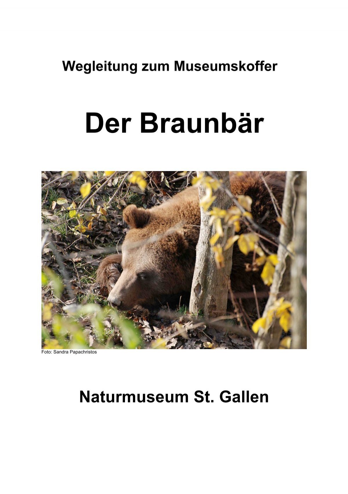 Der Braunbar Naturmuseum St Gallen