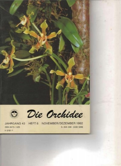 Orchidee Puppenkopf "Luzie" für 50 cm 