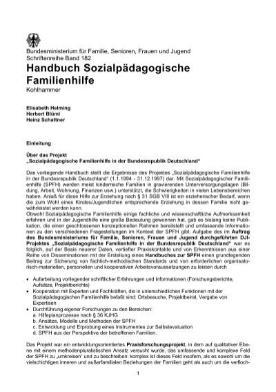 Handbuch Sozialpadagogische Familienhilfe Gender Mainstreaming