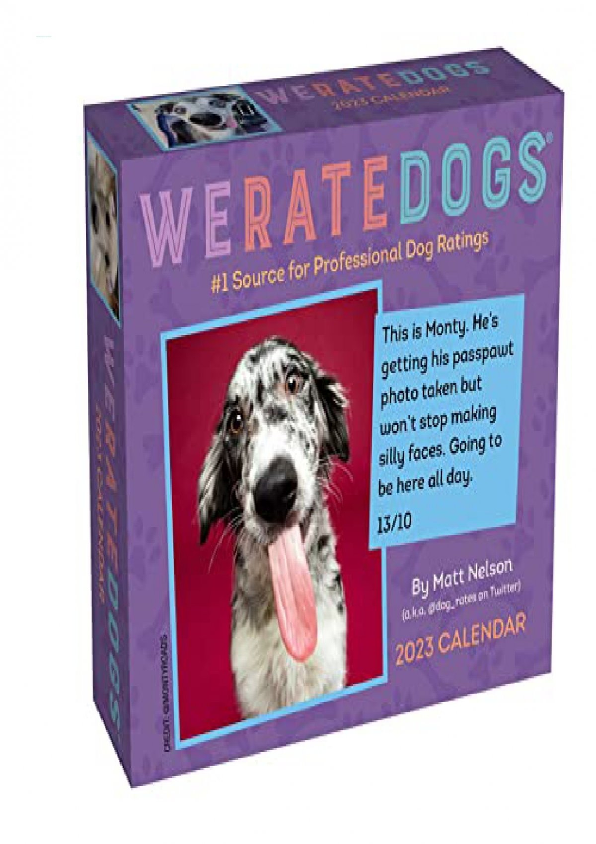 download-pdf-weratedogs-2023-day-to-day-calendar