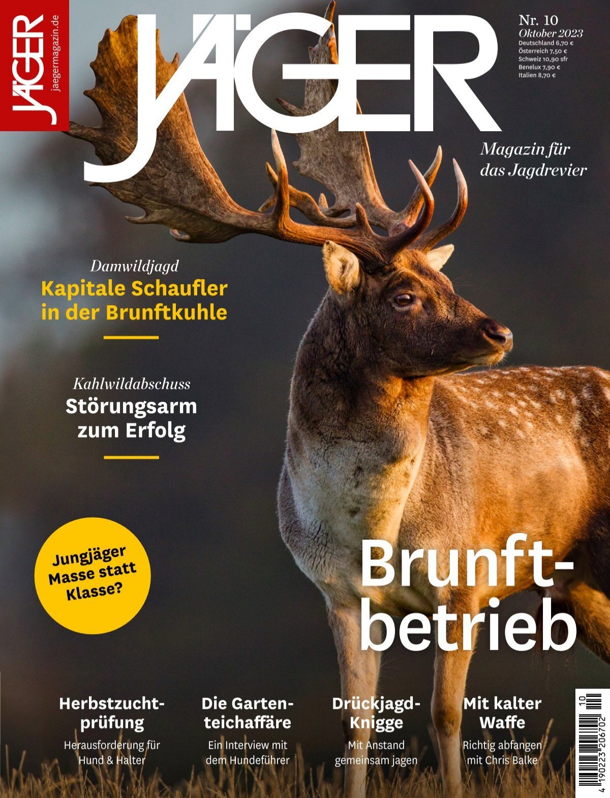 Schalldämpfer Wartung und Pflege - Deutsche Jagdzeitung