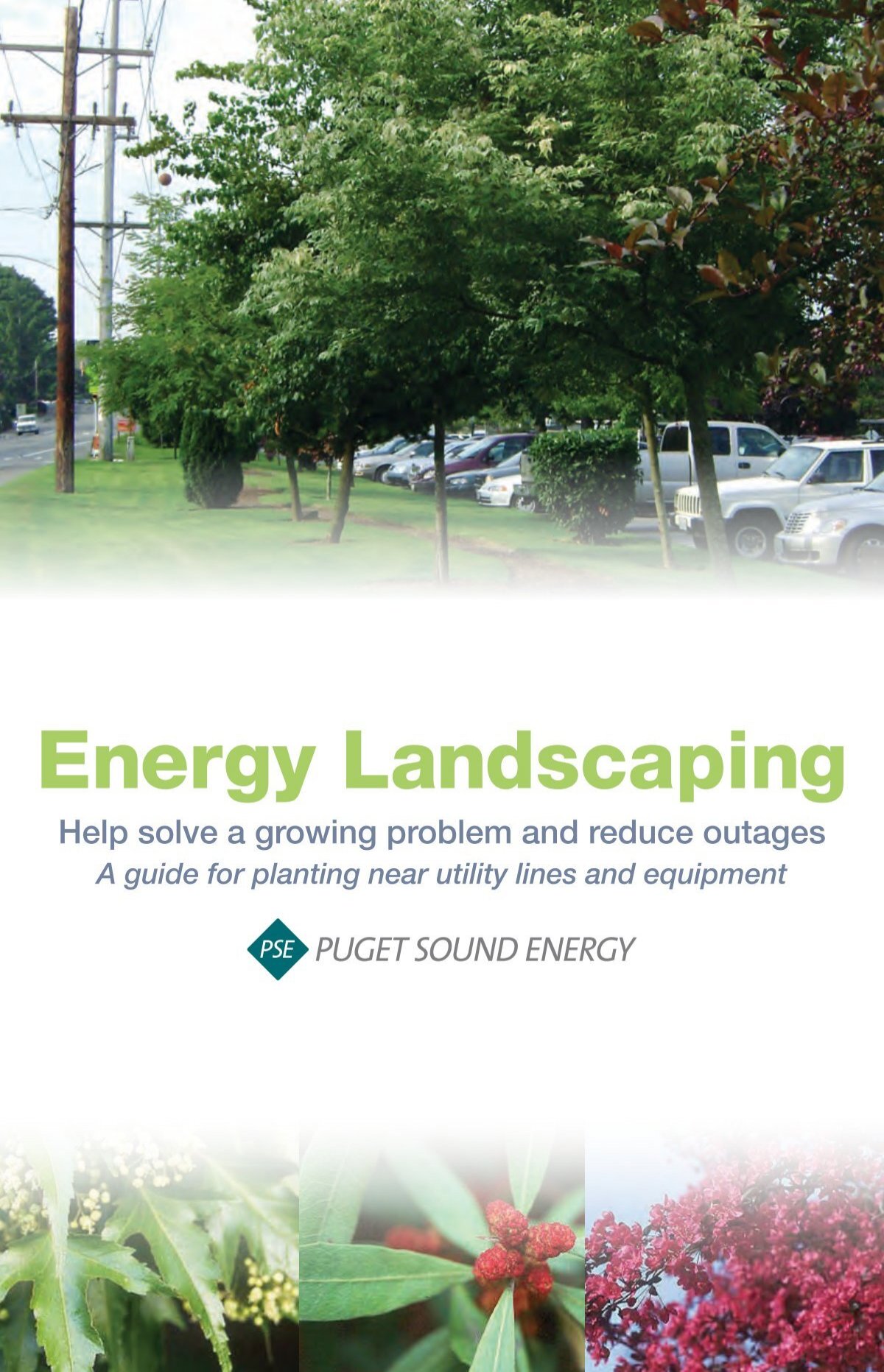 energy-landscaping-booklet-puget-sound-energy