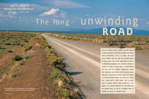 The long unwinding road: birding the Tanqua Karoo
