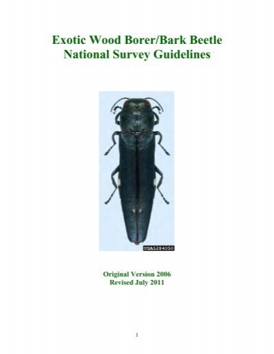Diver play piano To contribute Exotic Wood Borer/Bark Beetle National Survey Guidelines