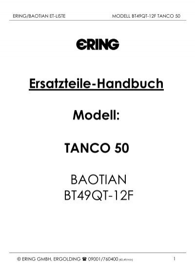 Motor Antrieb u Reparaturanleitung RIS für Baotian BT49  QT12 F1 Tanco