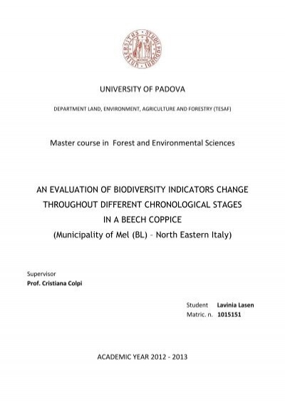 University Of Padova Master Course In Forest And