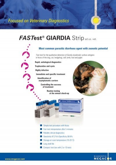 Parazitaellenes tinktúra ml es vélemények, Giardia life cycle veterinary