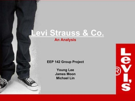 Levis - Levi's Strauss Marketing Plan