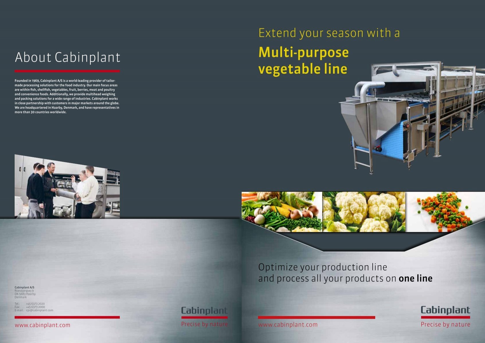 strække Meddele Bære Multipurpose vegetable line - Cabinplant