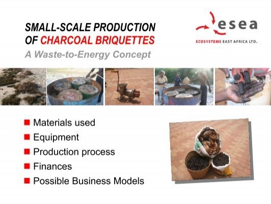 business plan for charcoal briquettes