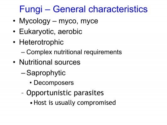 general characteristics
