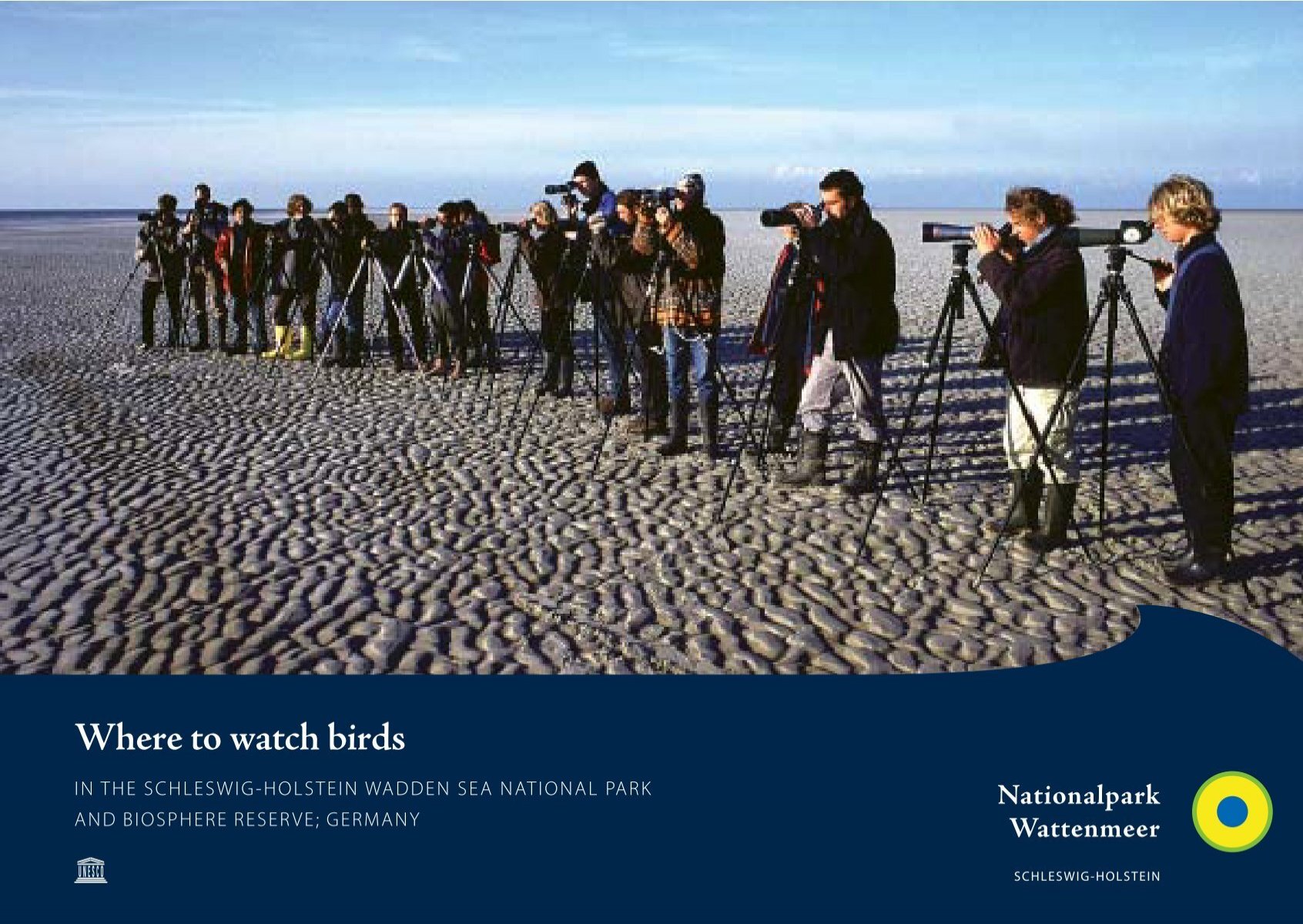 Where To Watch Birds Nationalpark Wattenmeer