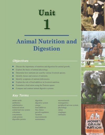 Animal Nutrition and Digestion (PDF file,  MB)