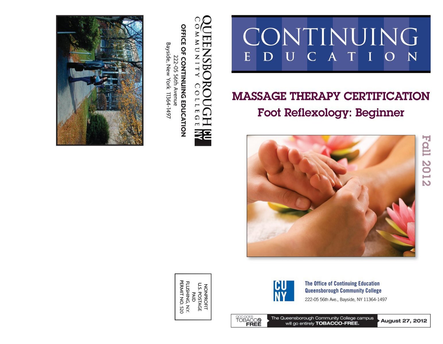 Massage Therapy Certification Foot Reflexology Beginner
