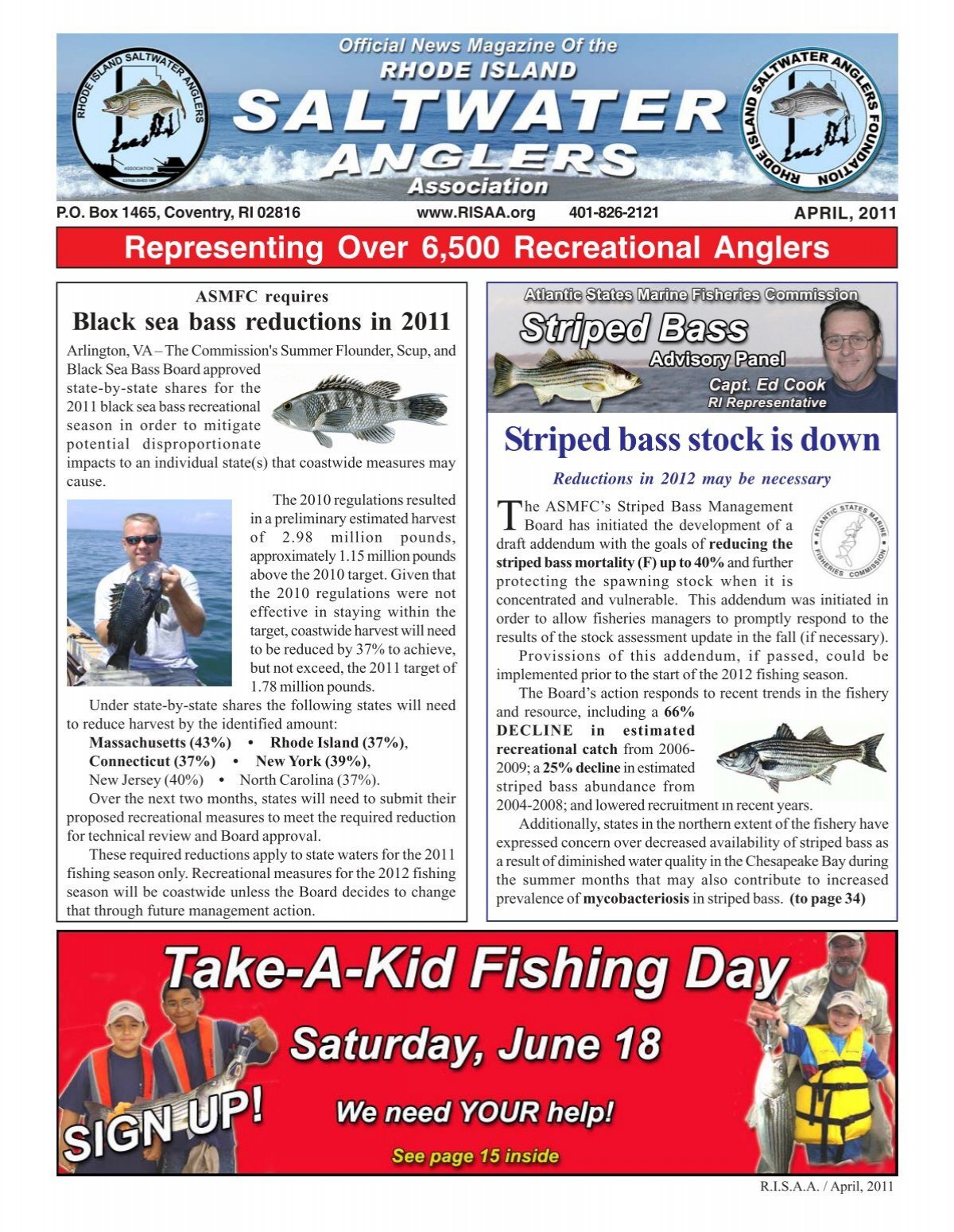 Striped bass stock is down - The Rhode Island Saltwater Anglers
