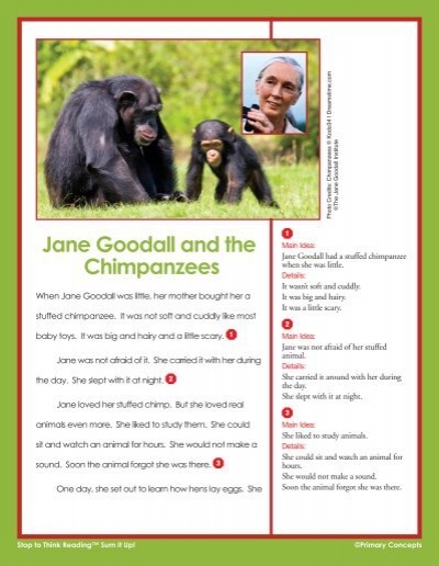 Jane Goodall Chimp-Memo Memorie 