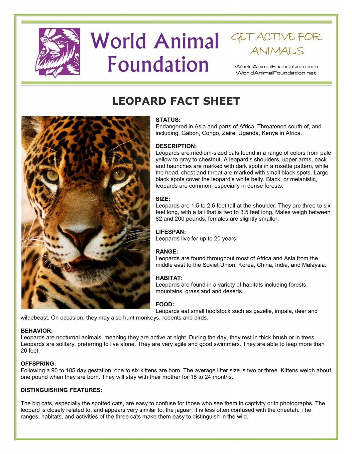 Leopard - Facts, Diet, Habitat & Pictures on