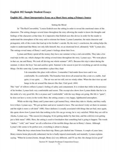 best student essay in english