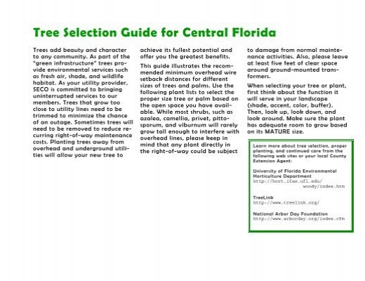 tree-selection-guide-for-central-florida-pdf-seco-energy
