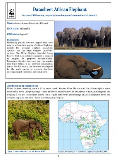 Volle S 12.91 WWF Elefanten 