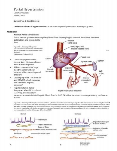 Portal Hypertension-Pola 060810
