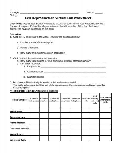 39++ Virtual lab the cell cycle and cancer worksheet Ideas In This Year 
