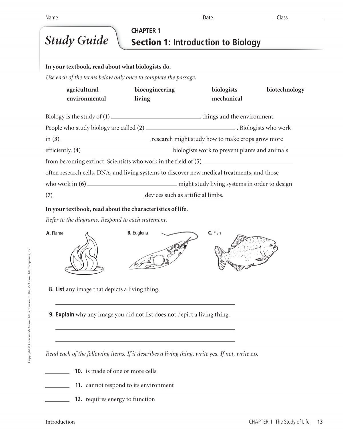 chapter-1-review-worksheet-analy-high-school-staff