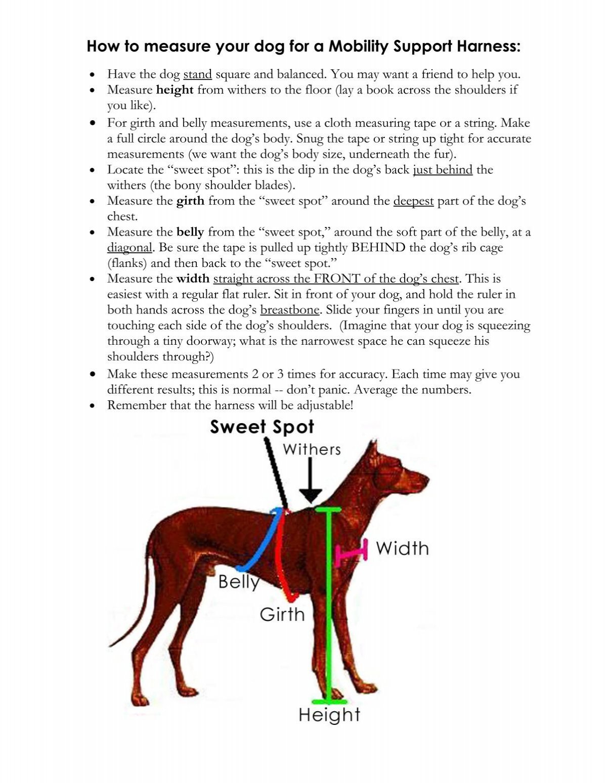 How to measure a dog's height