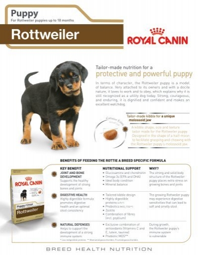 vitamins for rottweiler puppies