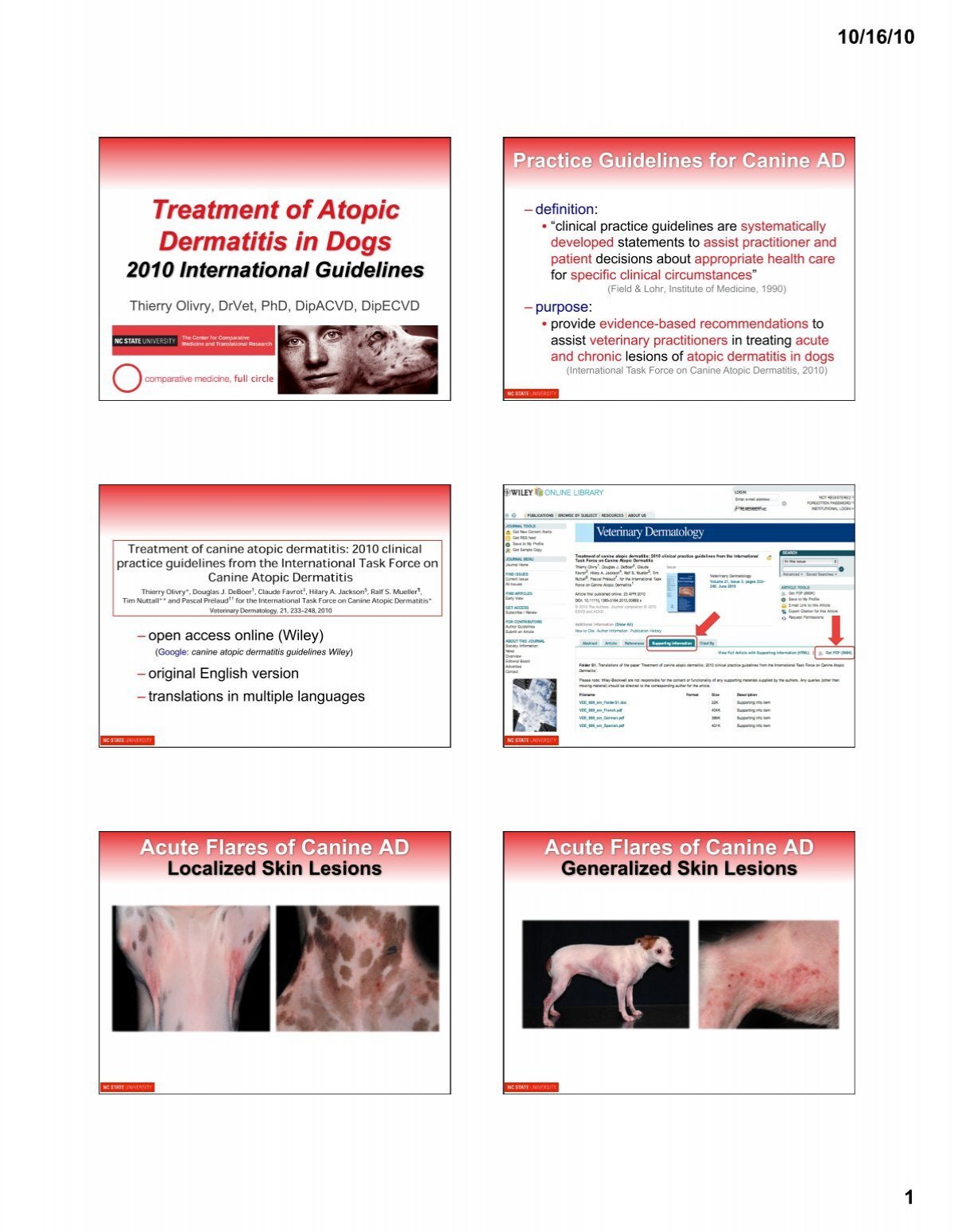 Treatment Of Atopic Dermatitis In Dogs 2010 International Guidelines