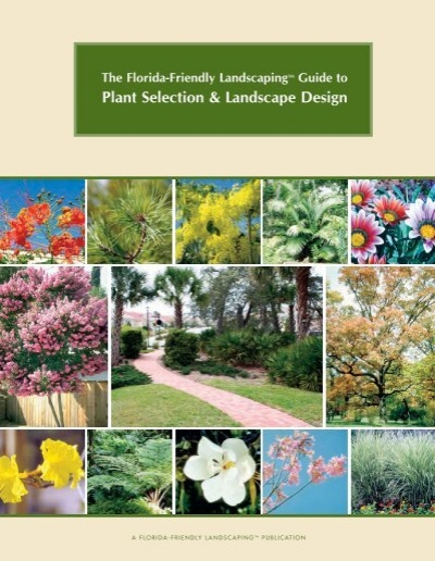 Image of Daylilies companion plant for Florida sunshine anise