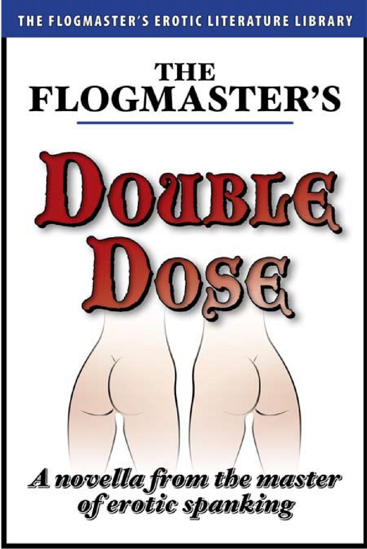 Download a high-quality PDF preview - The Flogmaster's Story Library.