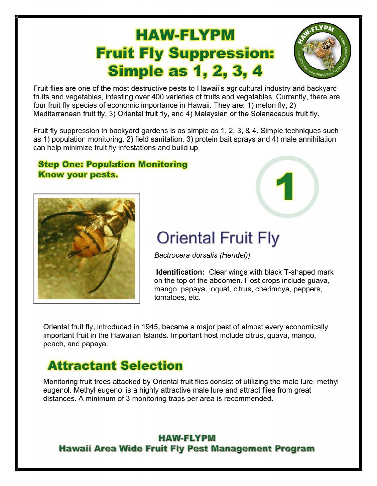 A Guide To Fruit Fly Identification, Prevention & Control