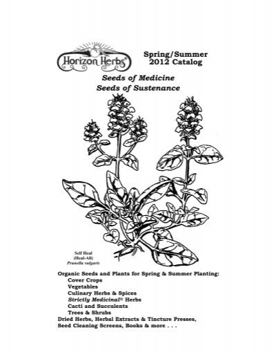 1OZ Lovage Seeds ~10,000 Count ~Aphrodesiac Herb ~Edible Leaves Seeds & Root
