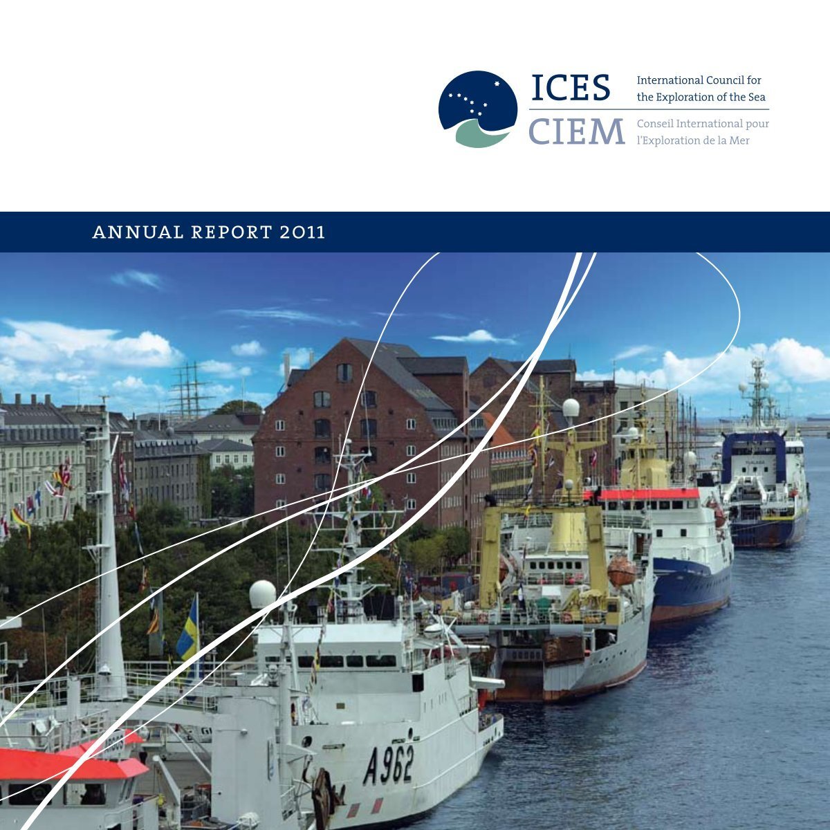 annual report - Ices