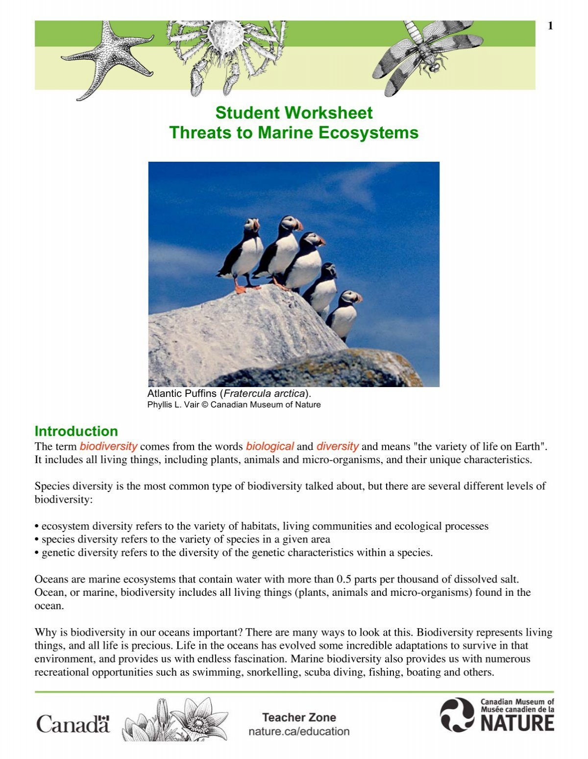student-worksheet-threats-to-marine-ecosystems