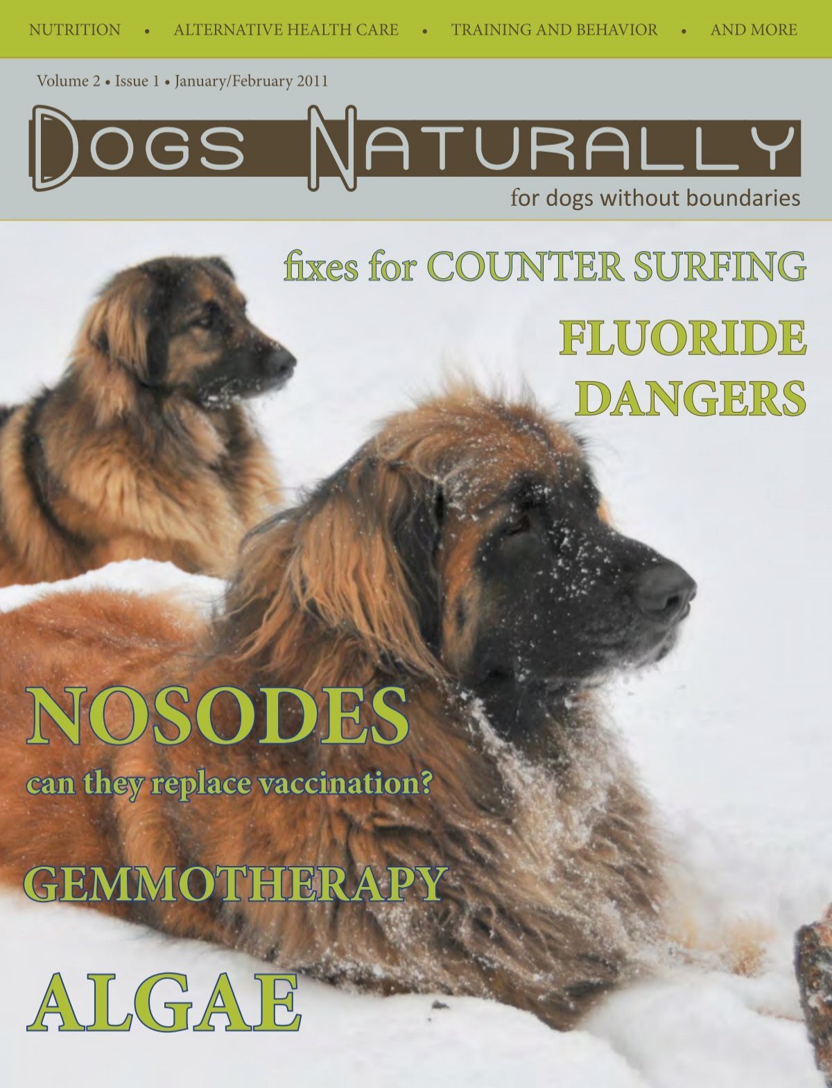 Januaryfebruary 2011 Dogs Naturally Magazine