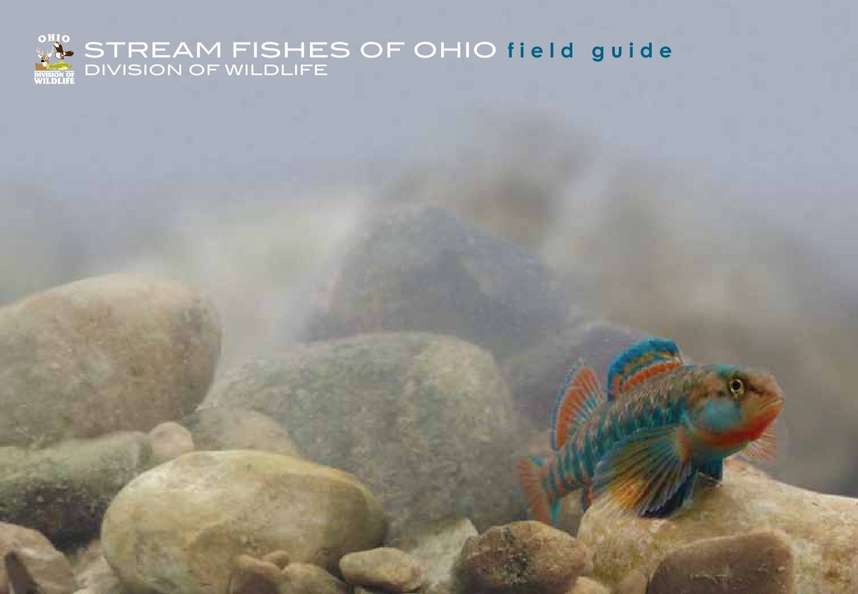 Stream Fishes of Ohio, Field Guide - Ohio Department of Natural