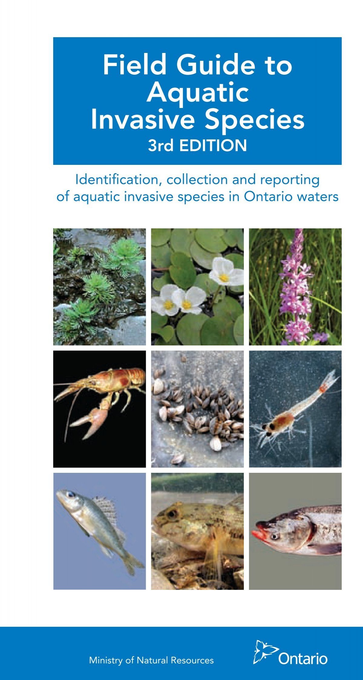Field Guide to Aquatic Invasive Species - Ministry of Natural