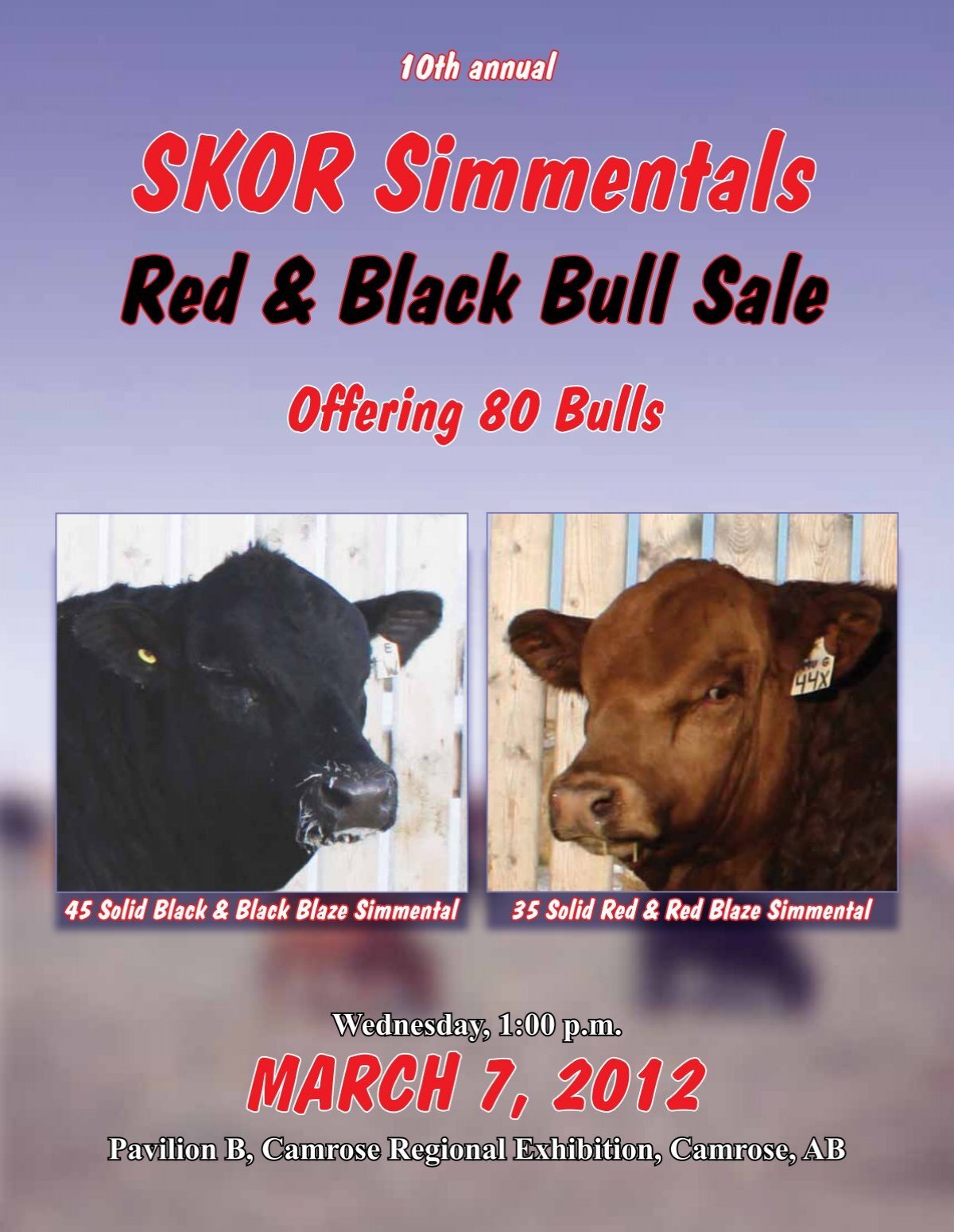 Demontere Eddike Himmel SKOR Simmental Bull Sale - Transcon Livestock Corporation