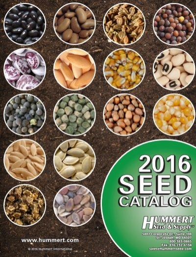 1004 Kentucky Brown Tobacco Seed   Fresh 2019 Crop 