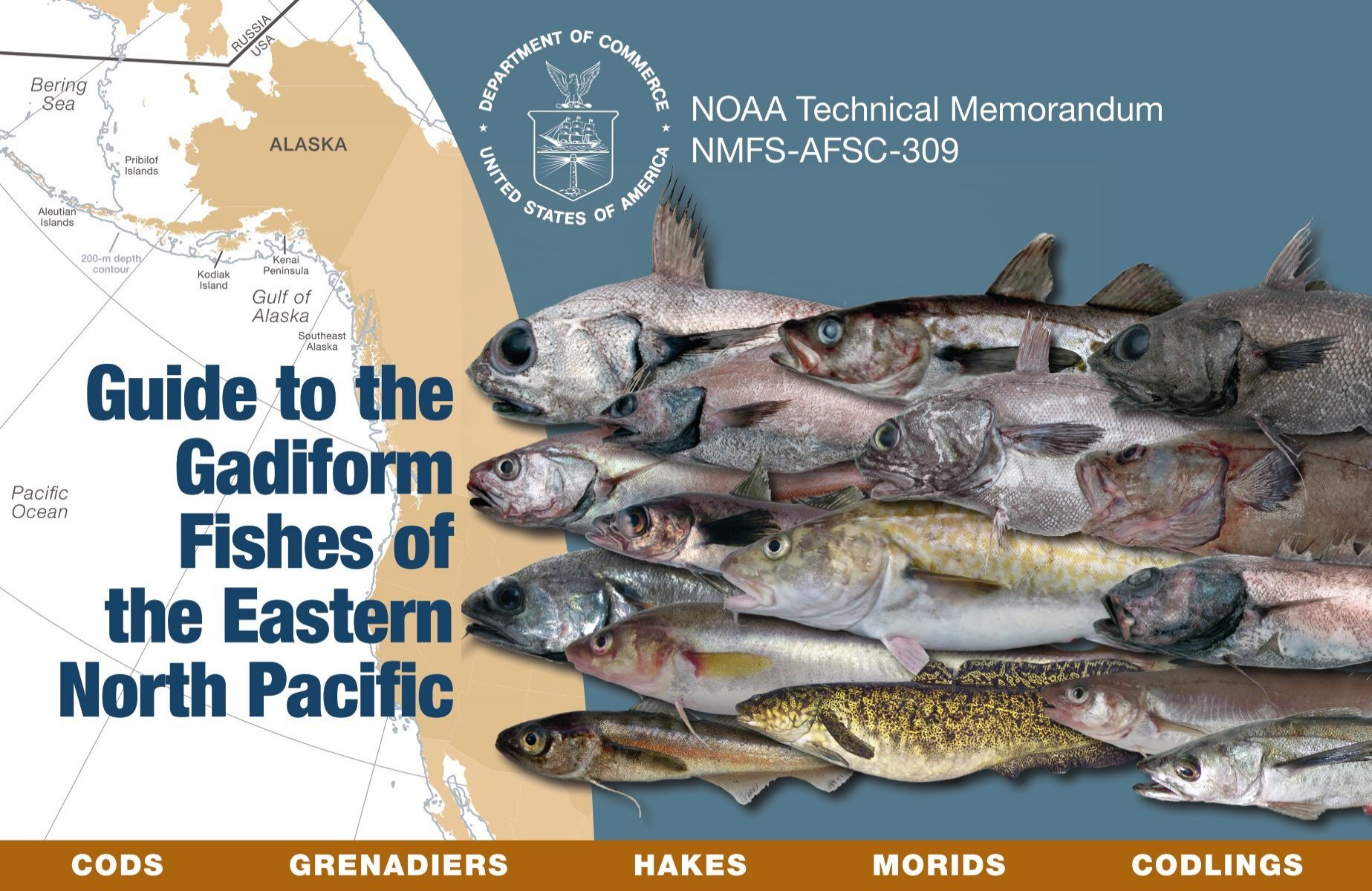 Nose Bots in Alaska's Species, Alaska Department of Fish and Game